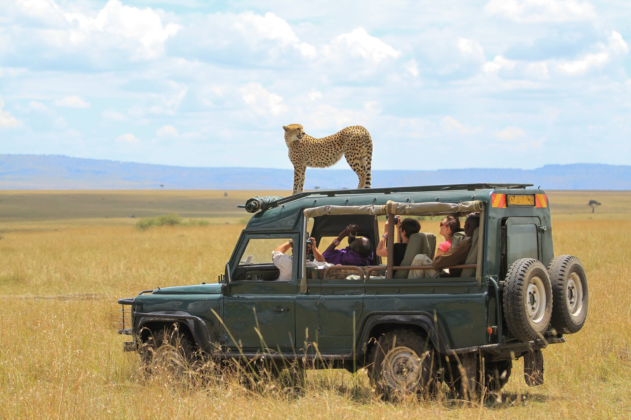 Game Drive